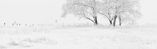 vêtement professionnel hiver thermique